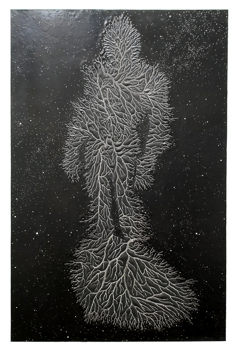 Shubaka, 165 x 107 cm, 2011