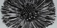 Eternal Flowers. The Black Set. II  #3, 320cm x 160 cm, 2015