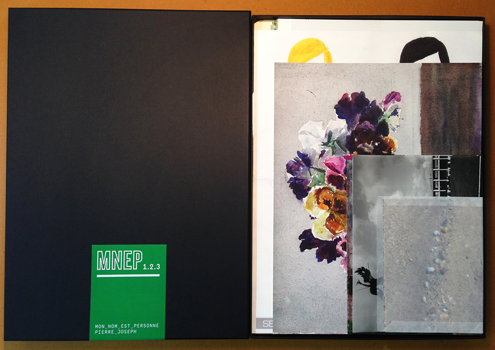 Boîte photo, MNEP 1, 2, 3, 32 X 44 X 3,5 cm, 2014